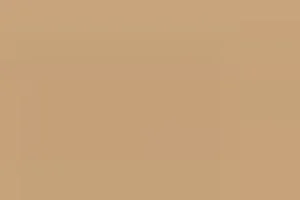 Women BodyWrap Body Control Slip W/Underwire