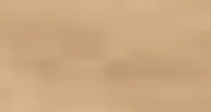 Women BodyWrap Bodysuit W/Underwire Plus