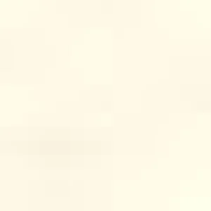 Women Trasparenze Clara 20 Pantyhose