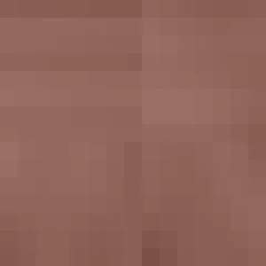 Women Platino Cleancut 15 Pantyhose