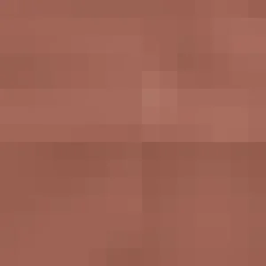 Women Platino Cleancut 15 Pantyhose