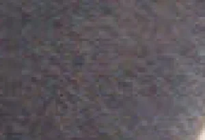 Women Platino Cotton Tights