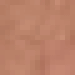 Women Elly Etoile 10 Pantyhose