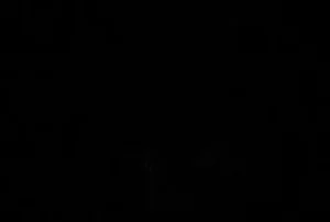 Women Platino Luxe Fata Tights