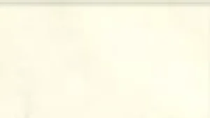 Women Trasparenze Noemi 8 Pantyhose