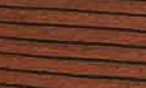 Women Gabriella Risca Satine Tights