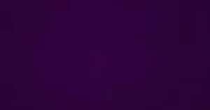 Women Cecilia de Rafael Rubino 40 Pantyhose