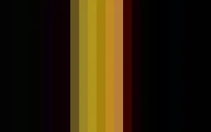 Women Cervin Seduction Courture Stocking-Lurex