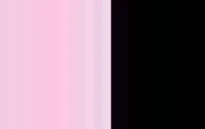 Women Cervin Seduction Couture Bicolore Stocking