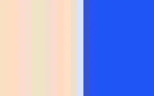 Women Cervin Seduction Couture Bicolore Stocking