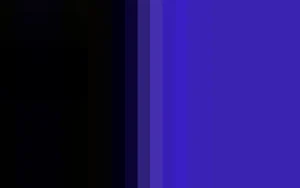 Women Cervin Seduction Couture Bicolore Stocking