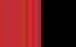 Women Cervin Seduction Couture Bicolore Stocking