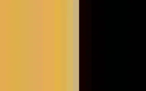 Women Cervin Seduction Couture Bicolore Stocking